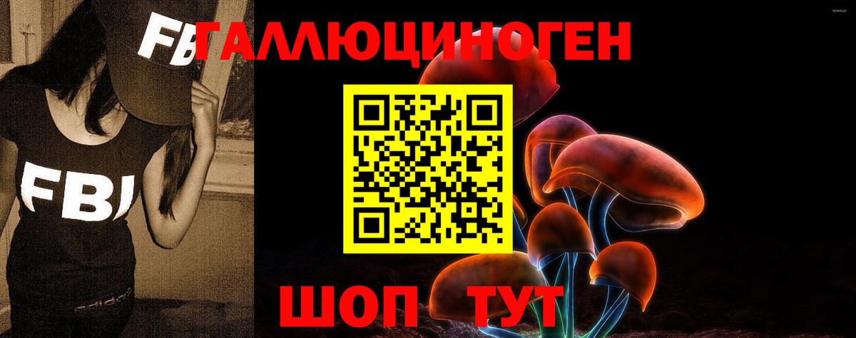 Псилоцибиновые грибы Psilocybe  Вход с VPN  Лосино-Петровский  Галлюциногенные грибы MAGIC MUSHROOMS 